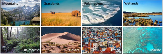 Photo collage of eight types of habitats: Mountains, grasslands, polar, wetlands, rainforests, deserts, urban and marine