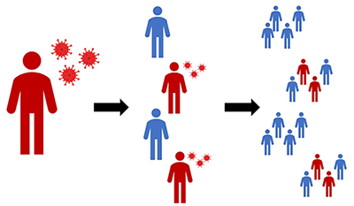 An infected individual passes a virus to two of four close contacts. The newly infected individuals continue to pass the virus to others.
