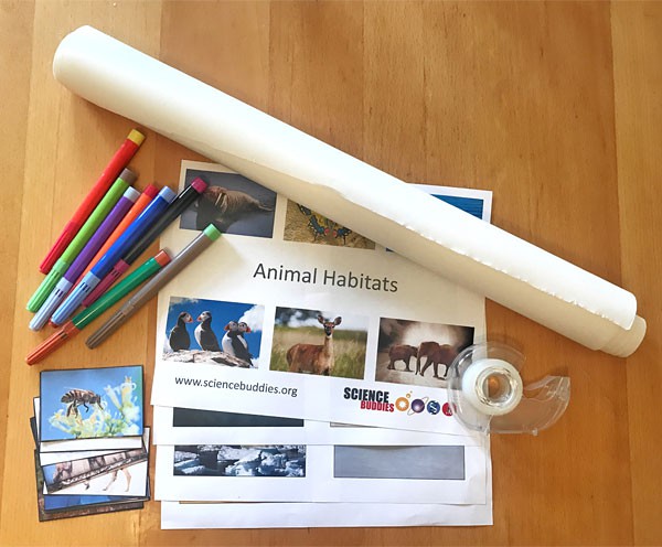 A roll of paper, markers, pictures of animal habitats, pictures of animals and tape
